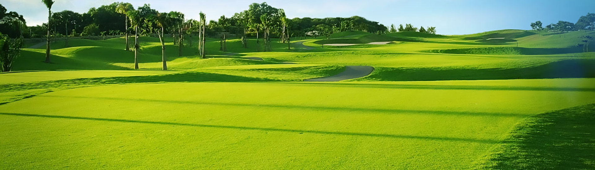 san golf twindoves